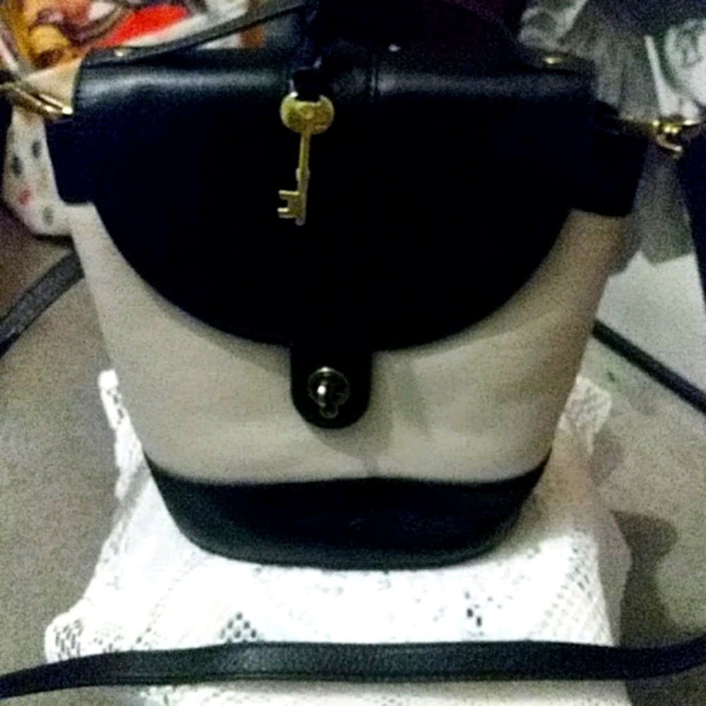Fossil purse
